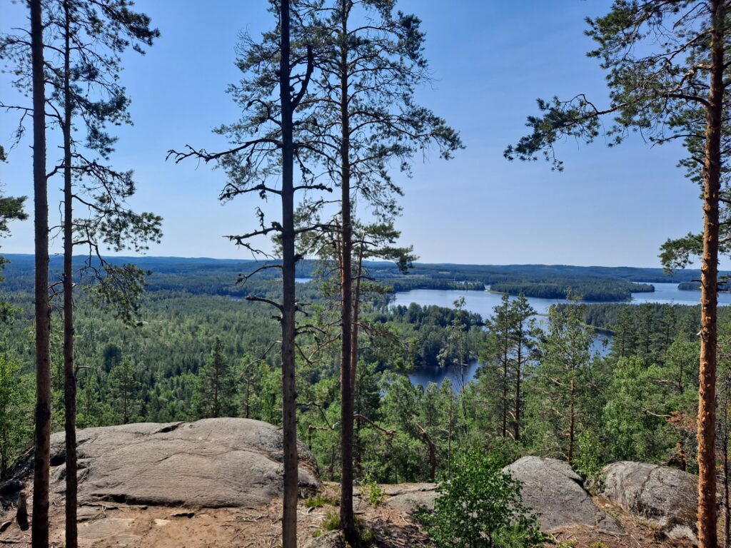 Kuva korkealta kalliolta, josta näkyy ptikälle metsää ja vetta sekä sininen taivas.